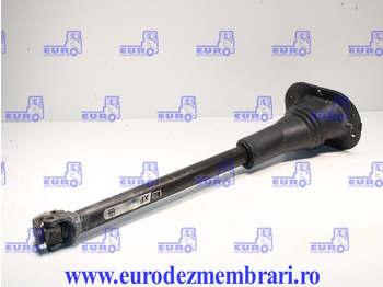 Cabina e interni DAF XF