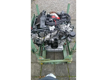 : immagine di intestazione