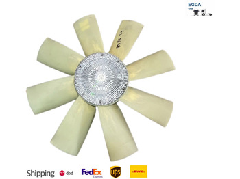 : immagine di intestazione