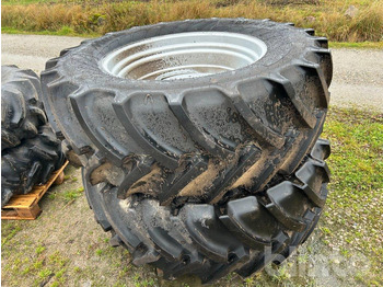 : immagine di intestazione