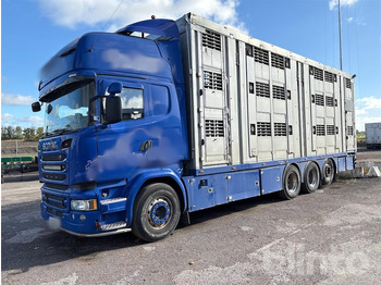Autocarro trasporto bestiame SCANIA R 580