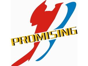 QINGDAO PROMISING INTERNATIONAL CO., LTD.