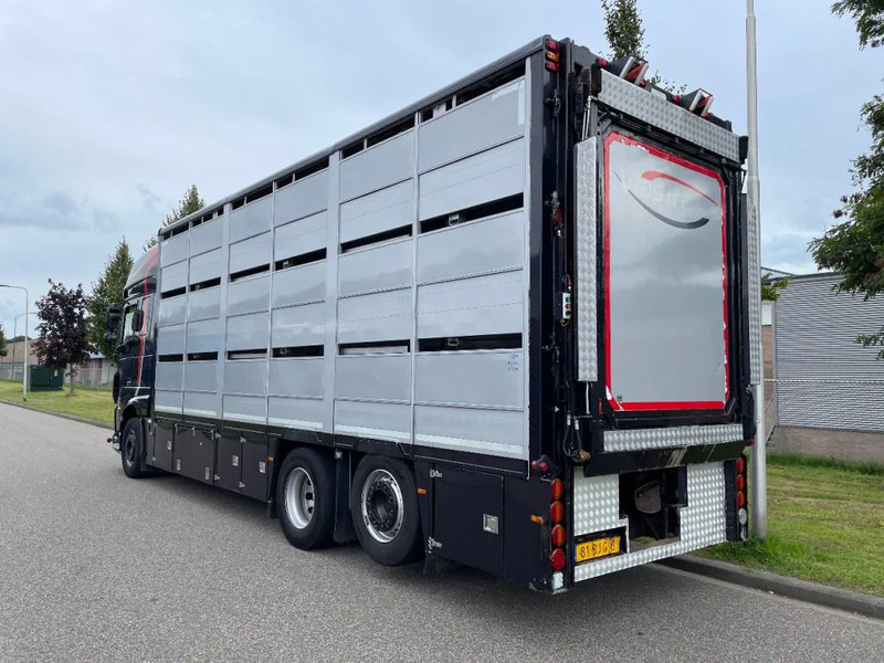 DAF XF 460 2017 berdex 3 lagen varkens - Autocarro trasporto bestiame: foto 2 DAF XF 460 2017 berdex 3 lagen varkens - Autocarro trasporto bestiame: foto 2