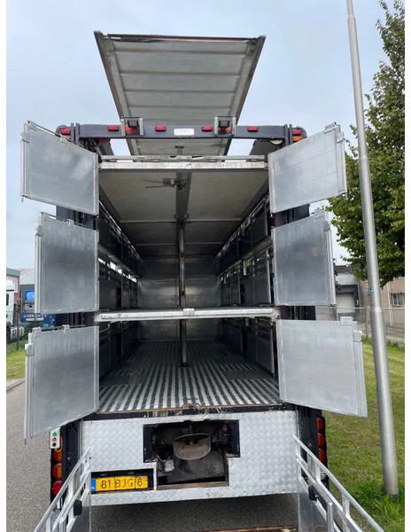 DAF XF 460 2017 berdex 3 lagen varkens - Autocarro trasporto bestiame: foto 3 DAF XF 460 2017 berdex 3 lagen varkens - Autocarro trasporto bestiame: foto 3