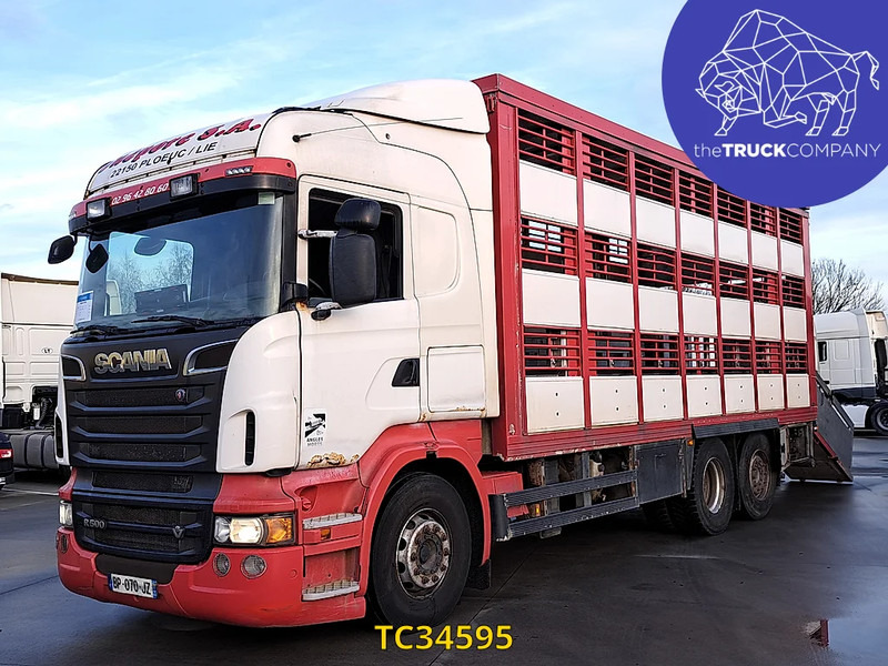 Scania R 500 - Autocarro trasporto bestiame: foto 1 Scania R 500 - Autocarro trasporto bestiame: foto 1