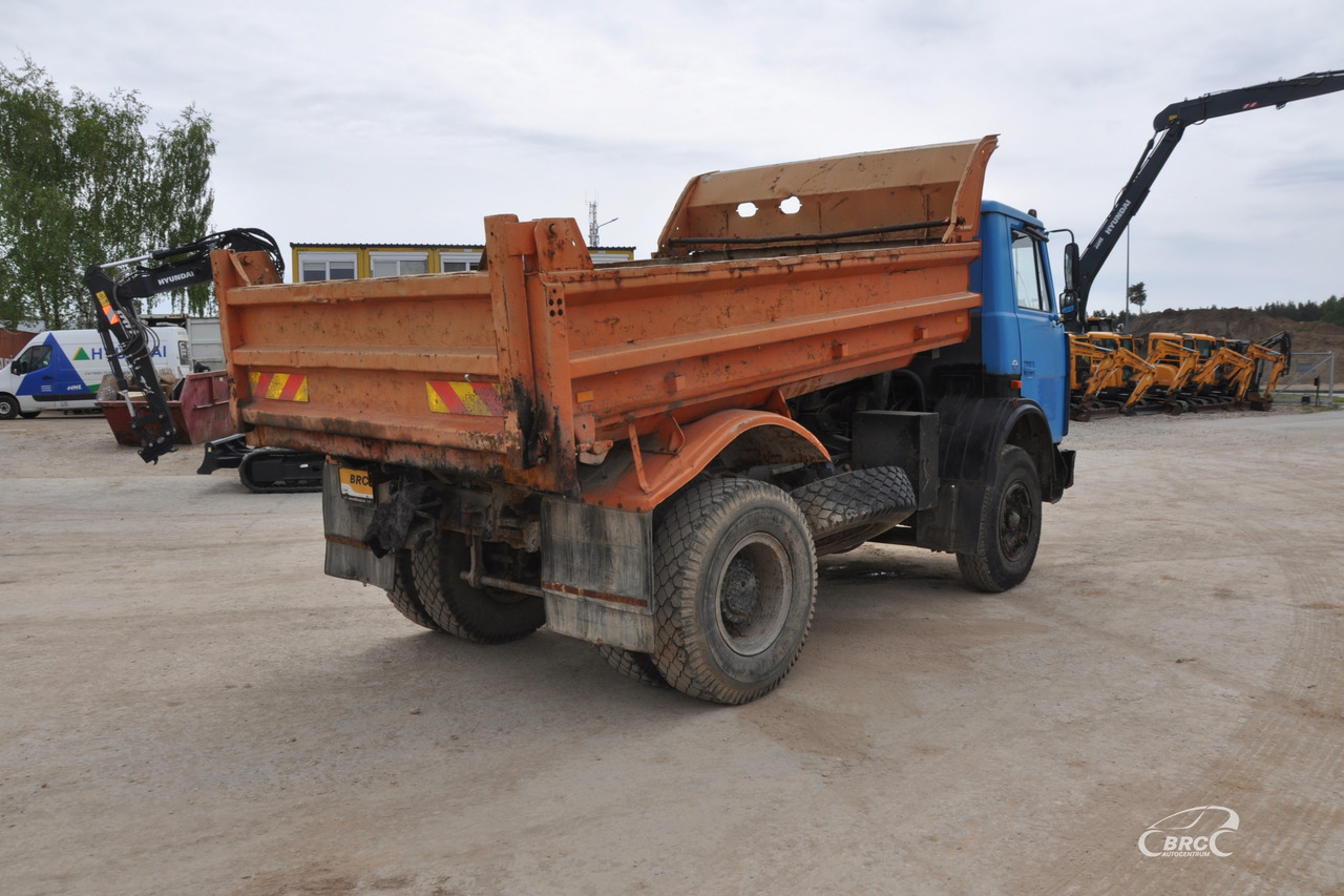 MAZ 5551 - Autocarro ribaltabile: foto 5 MAZ 5551 - Autocarro ribaltabile: foto 5