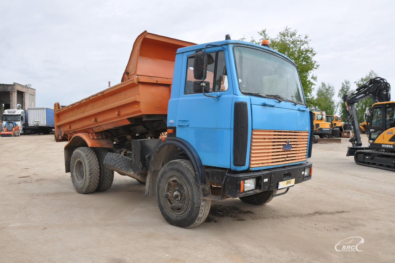 MAZ 5551 - Autocarro ribaltabile: foto 2 MAZ 5551 - Autocarro ribaltabile: foto 2