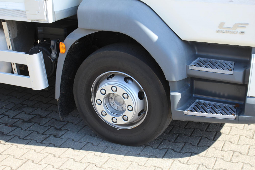 Autocarro frigorifero Daf LF 250 E6  Carrier Supra Strom Tür + LBW Kamera: foto 7