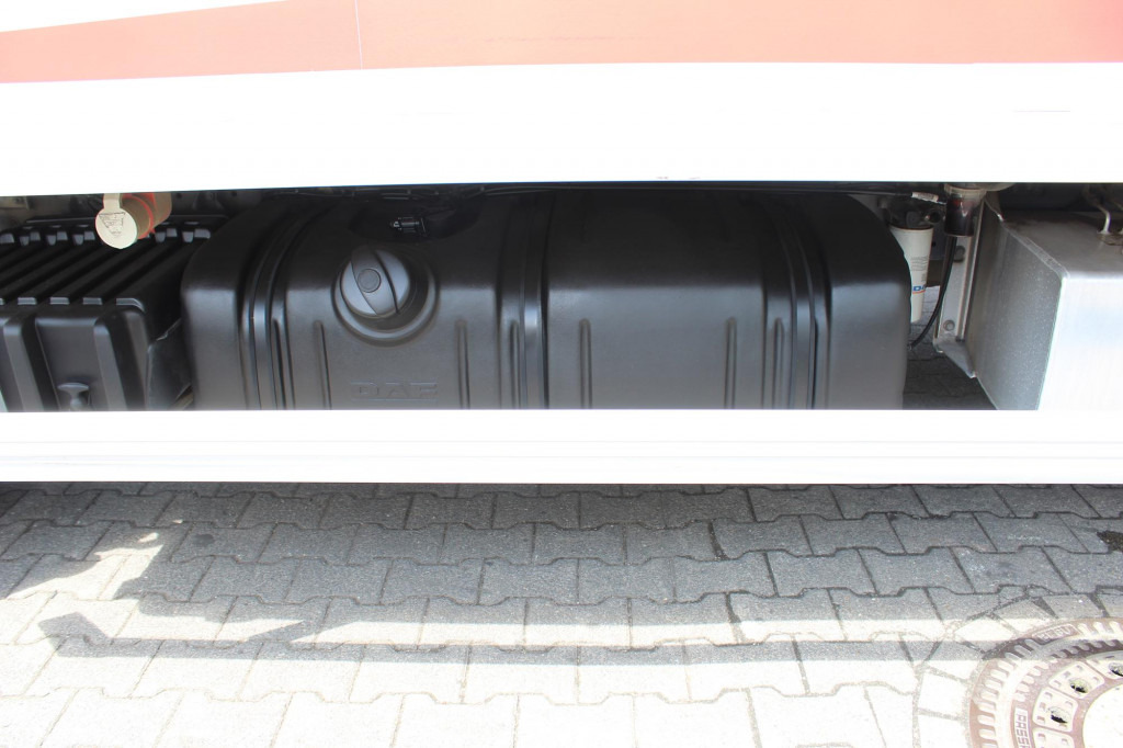 Daf LF 260 E6  Carrier Supra 550   Strom  Tür   LBW - Autocarro frigorifero: foto 4 Daf LF 260 E6  Carrier Supra 550   Strom  Tür   LBW - Autocarro frigorifero: foto 4