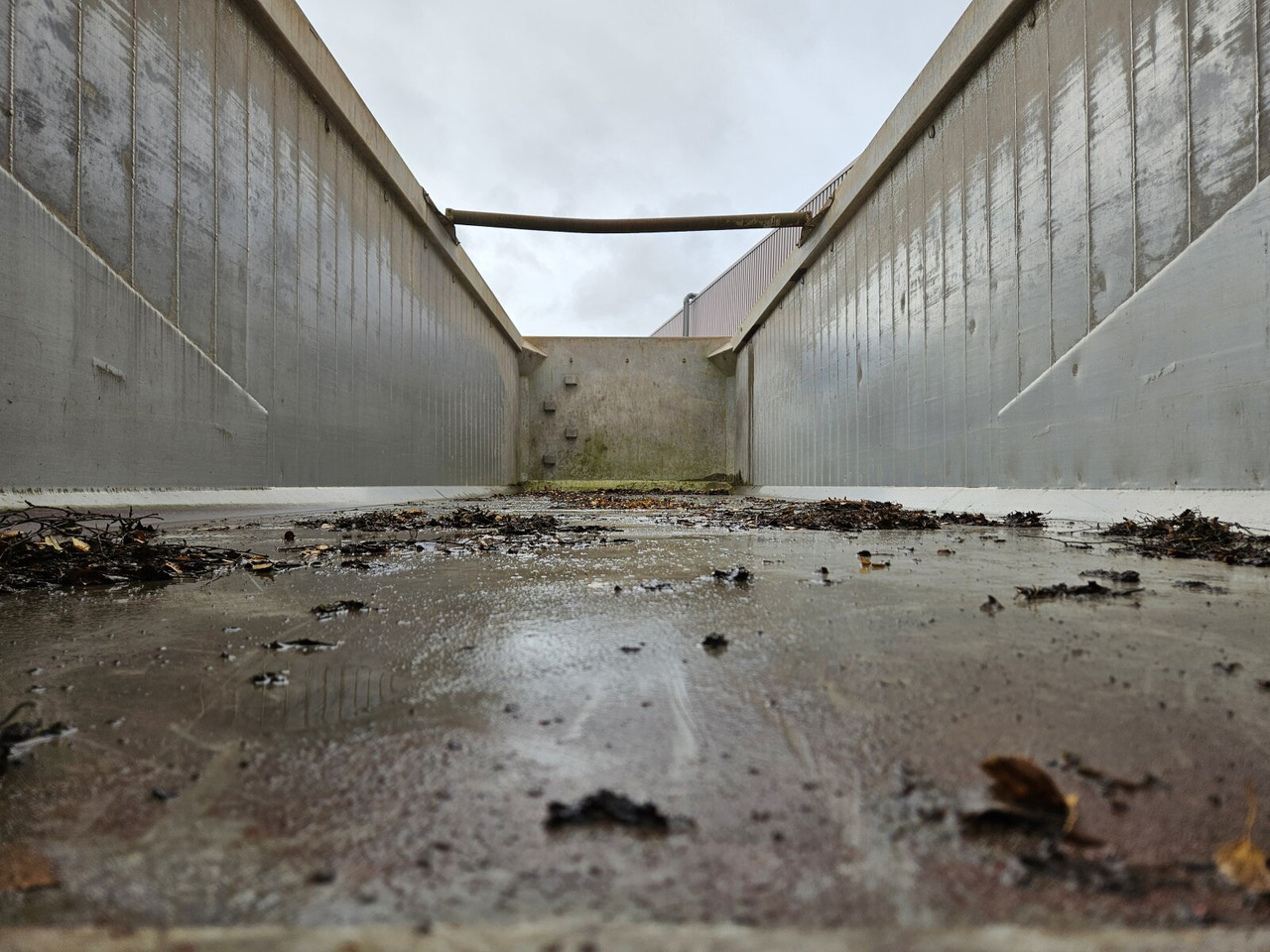 Reisch RHKS-32/18 AL RHKS-32/18 AL, 40 cbm Alu Kastenmulde - Semirimorchio: foto 4 Reisch RHKS-32/18 AL RHKS-32/18 AL, 40 cbm Alu Kastenmulde - Semirimorchio: foto 4