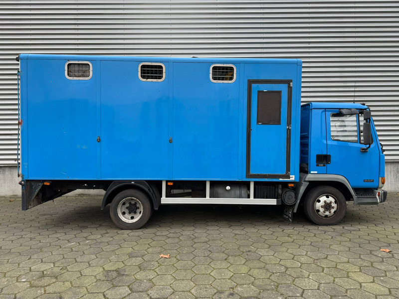 Autocarro trasporto bestiame DAF LF45.130 / Horse Truck / 6 Cilinder / Manual Gearbox / Euro 2 / NL Trucks: foto 7