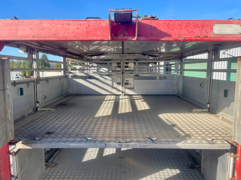 Autocarro trasporto bestiame DAF XF 95.430 BERDEX 3 decks. Water, fans, Scales! Excellent condition.: foto 20