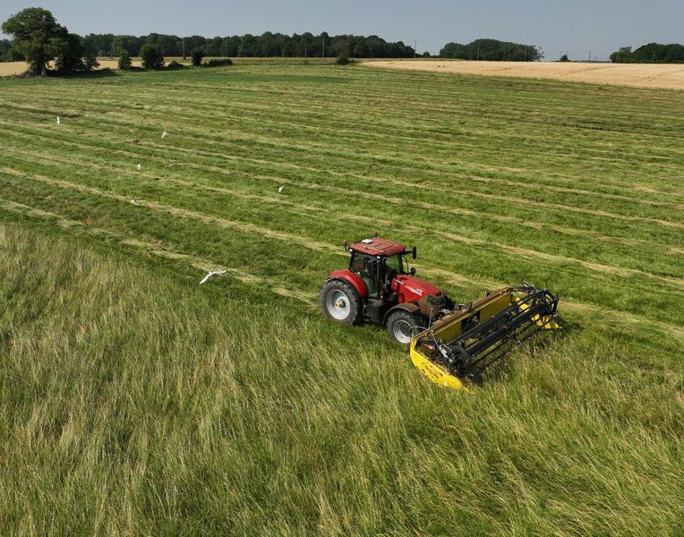 Barra di taglio per grano nuovo Honey Bee ST 15 - BANDSCHWADMÄHWERK: foto 10