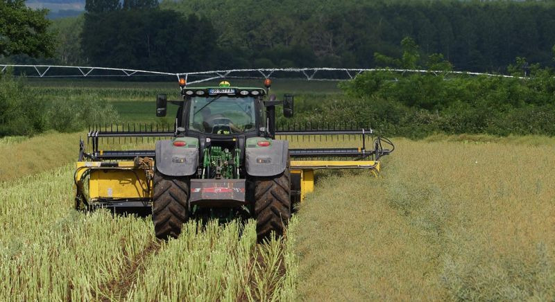 Barra di taglio per grano nuovo Honey Bee ST 15 - BANDSCHWADMÄHWERK: foto 8