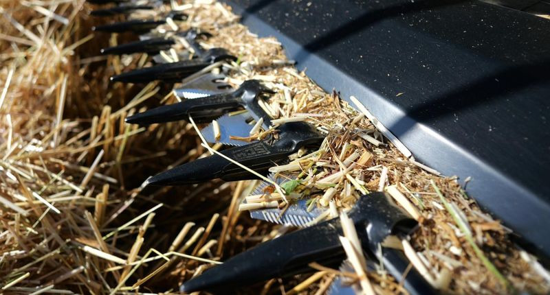 Barra di taglio per grano nuovo Honey Bee ST 15 - BANDSCHWADMÄHWERK: foto 6