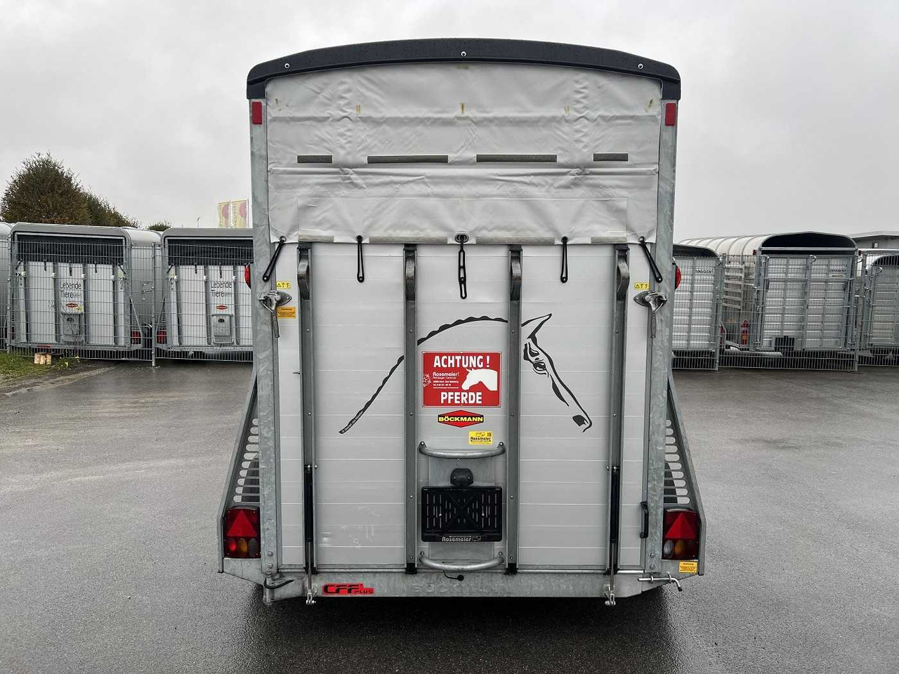 BOECKMANN Portax E TKL Pferdeanhänger - Trailer trasporto cavalli: foto 4 BOECKMANN Portax E TKL Pferdeanhänger - Trailer trasporto cavalli: foto 4