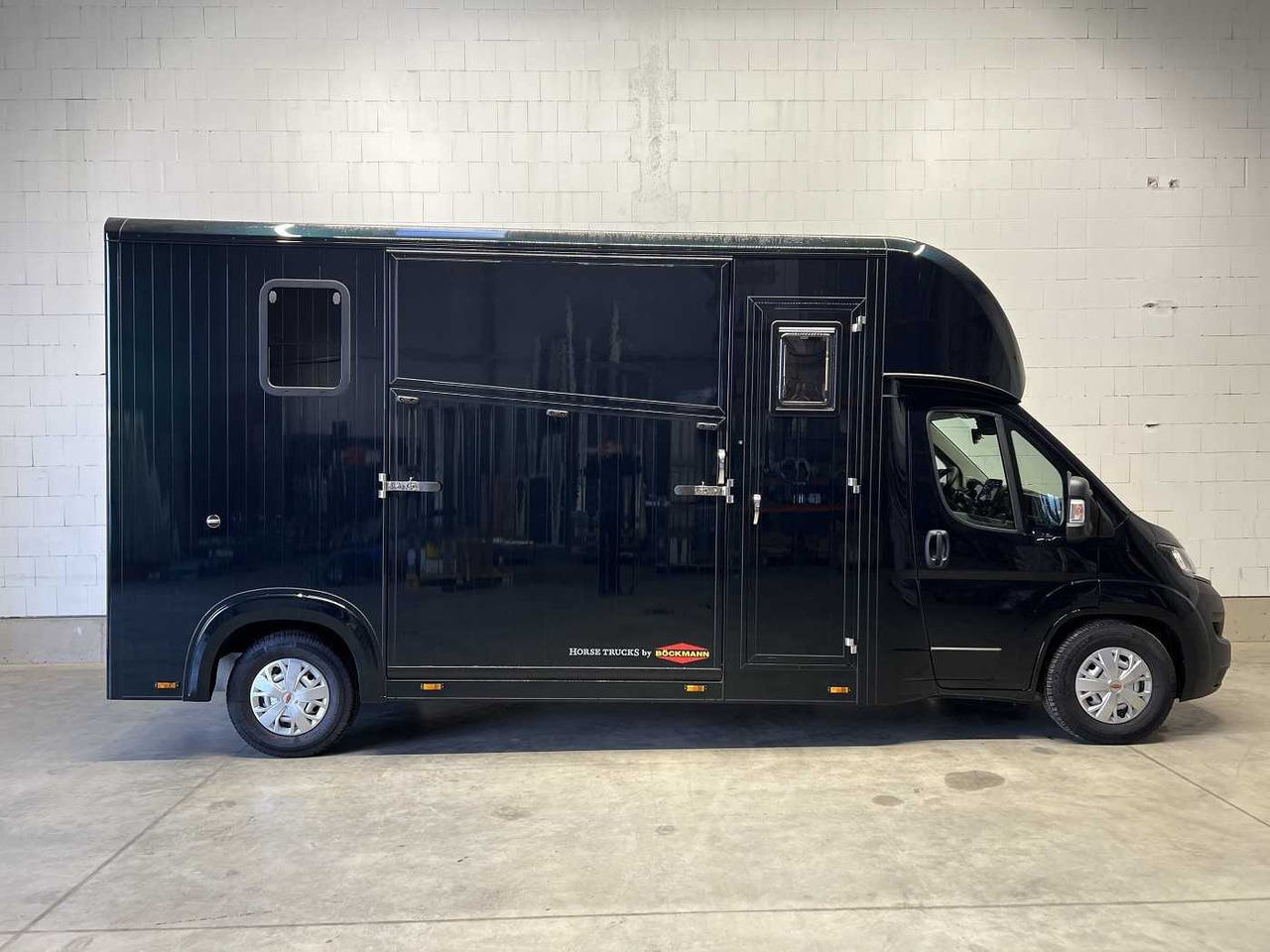Fiat Böckmann Compact L+ Stall Tour LKW - Van trasporto cavalli: foto 1 Fiat Böckmann Compact L+ Stall Tour LKW - Van trasporto cavalli: foto 1