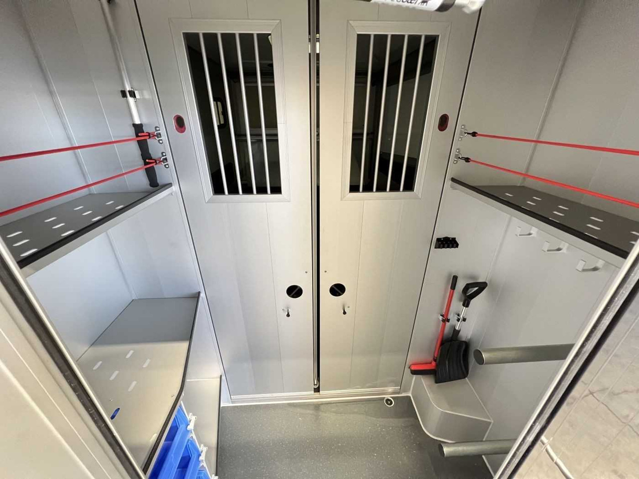 Van trasporto cavalli nuovo Fiat Böckmann Compact Stall LKW: foto 16