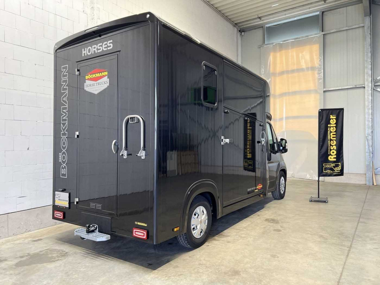 Van trasporto cavalli nuovo Fiat Böckmann Compact Stall LKW: foto 14