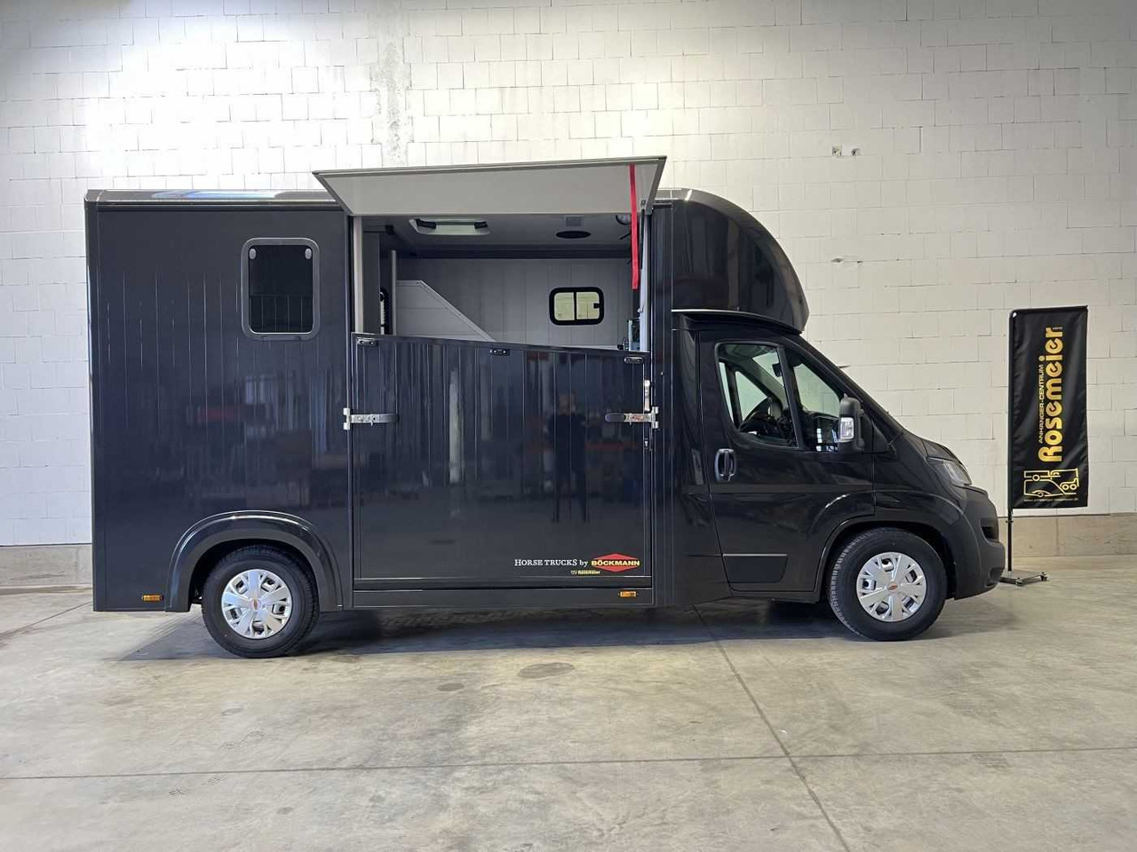 Van trasporto cavalli nuovo Fiat Böckmann Compact Stall LKW: foto 12
