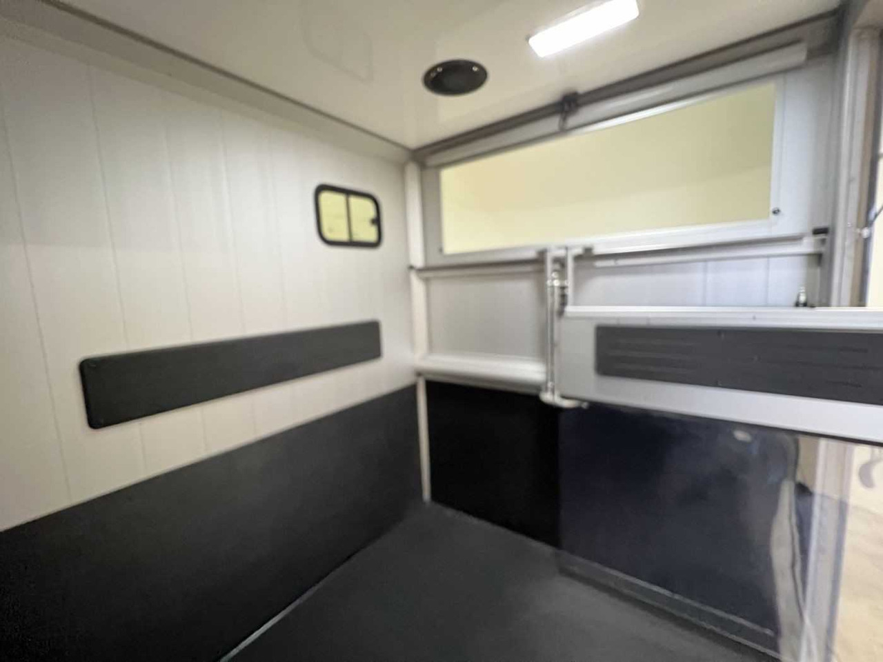 Fiat Compact Basic LKW - Van trasporto cavalli: foto 5 Fiat Compact Basic LKW - Van trasporto cavalli: foto 5