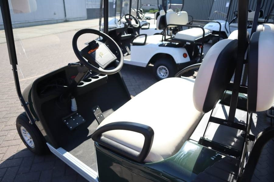 Golf cart BRINGO DG-C2 Valid Inspection, *Guarantee! Dutch R: foto 6