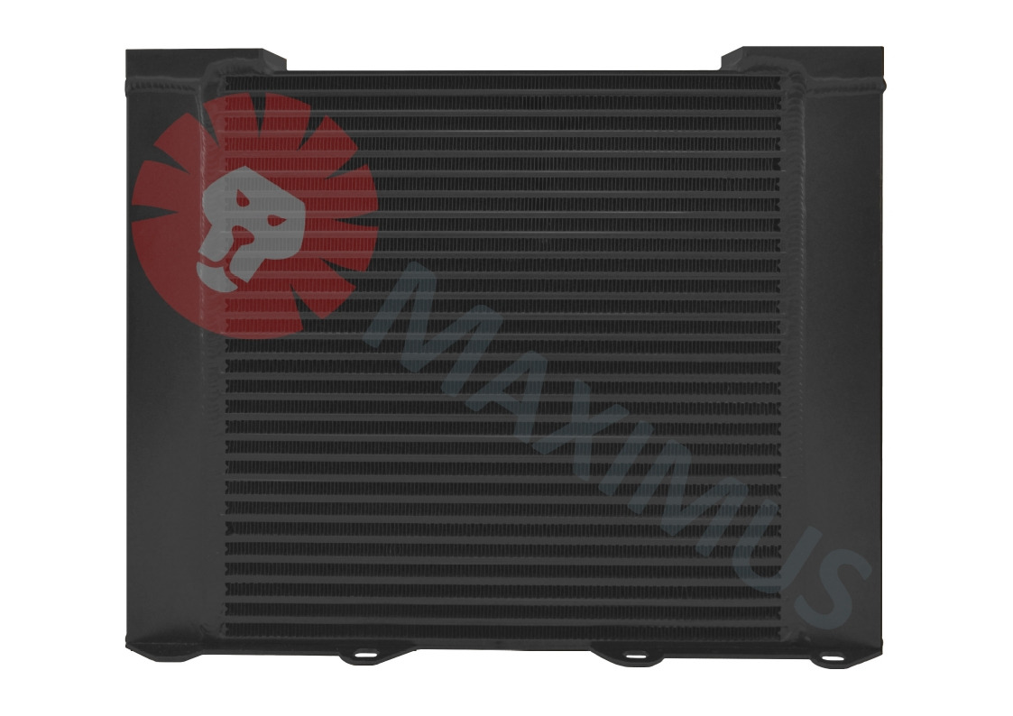 DEUTZ BOMAG ALTAS UNIWERSAL - Radiatore per Rullo: foto 1 DEUTZ BOMAG ALTAS UNIWERSAL - Radiatore per Rullo: foto 1