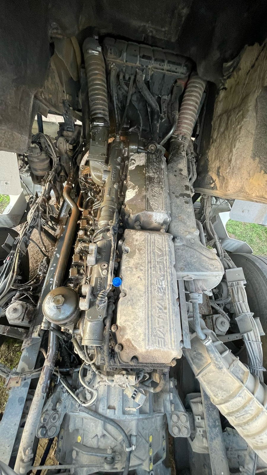 Trattore stradale DAF XF 95.430 Tractor head: foto 15