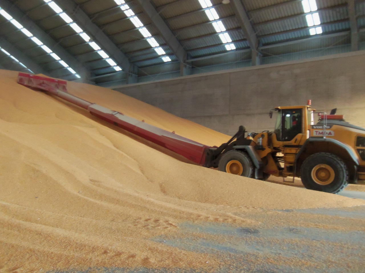 GRAIN PUSHER - NG ATTACHMENTS - Spargisale per Accessori per macchine da raccolta: foto 5 GRAIN PUSHER - NG ATTACHMENTS - Spargisale per Accessori per macchine da raccolta: foto 5