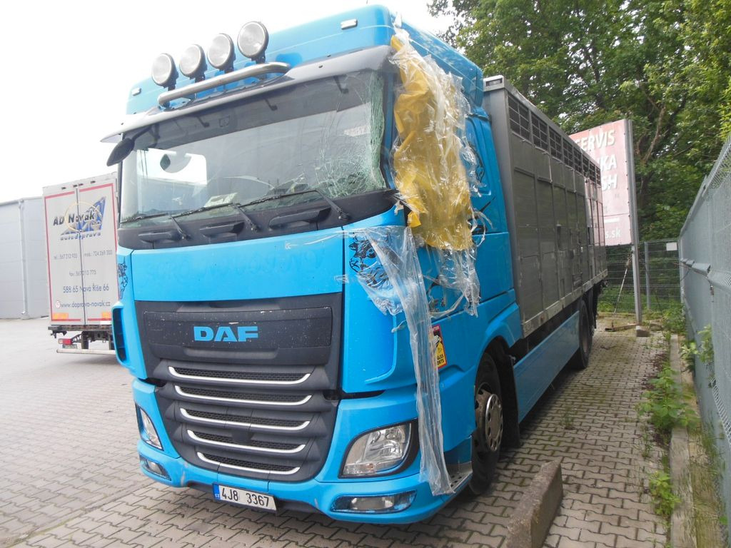 DAF XF 106.460, MENKE-JANZEN, UNFALL-FAHRBAR!! - Autocarro trasporto bestiame: foto 1 DAF XF 106.460, MENKE-JANZEN, UNFALL-FAHRBAR!! - Autocarro trasporto bestiame: foto 1