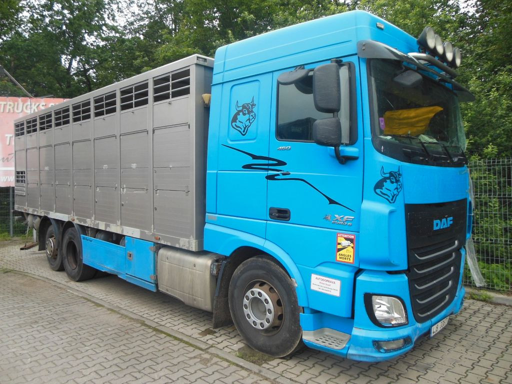 DAF XF 106.460, MENKE-JANZEN, UNFALL-FAHRBAR!! - Autocarro trasporto bestiame: foto 2 DAF XF 106.460, MENKE-JANZEN, UNFALL-FAHRBAR!! - Autocarro trasporto bestiame: foto 2