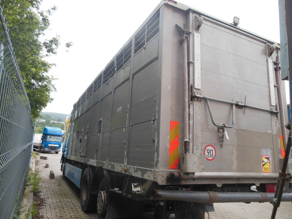 DAF XF 106.460, MENKE-JANZEN, UNFALL-FAHRBAR!! - Autocarro trasporto bestiame: foto 4 DAF XF 106.460, MENKE-JANZEN, UNFALL-FAHRBAR!! - Autocarro trasporto bestiame: foto 4