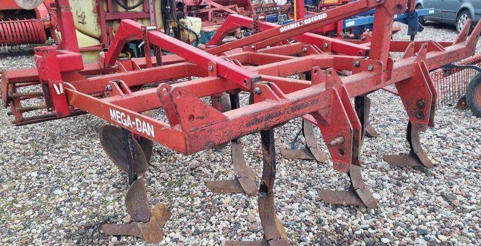 Doublet-record Mega-Dan - Coltivatore: foto 1 Doublet-record Mega-Dan - Coltivatore: foto 1