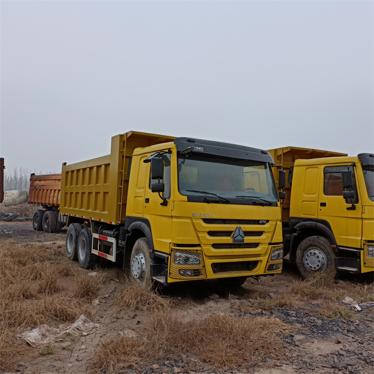 Autocarro ribaltabile HOWO HOWO 6x4-375 Tipper-Yellow: foto 9