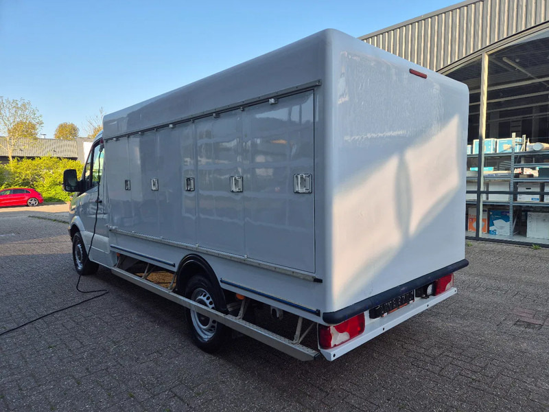 Mercedes-Benz Sprinter 313 CDI 5+5 Turen TIEFFROST -40C Carlsen Baltic E5 - Furgone frigo: foto 5 Mercedes-Benz Sprinter 313 CDI 5+5 Turen TIEFFROST -40C Carlsen Baltic E5 - Furgone frigo: foto 5