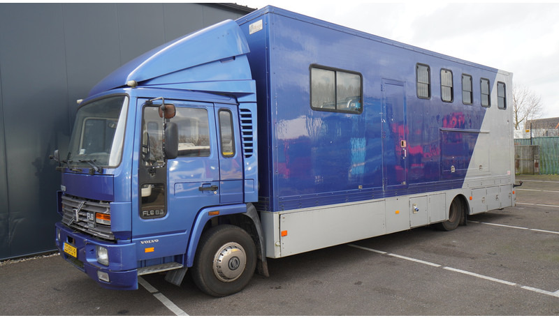Volvo FL 6-9 HORSE TRANSPORT 341.000KM MANUAL GEARBOX - Van trasporto cavalli: foto 3 Volvo FL 6-9 HORSE TRANSPORT 341.000KM MANUAL GEARBOX - Van trasporto cavalli: foto 3