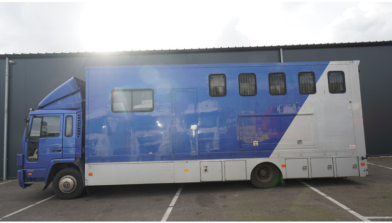 Volvo FL 6-9 HORSE TRANSPORT 341.000KM MANUAL GEARBOX - Van trasporto cavalli: foto 1 Volvo FL 6-9 HORSE TRANSPORT 341.000KM MANUAL GEARBOX - Van trasporto cavalli: foto 1