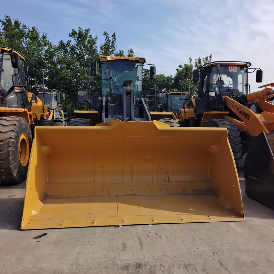 Pala gommata XCMG LW600FV: foto 1