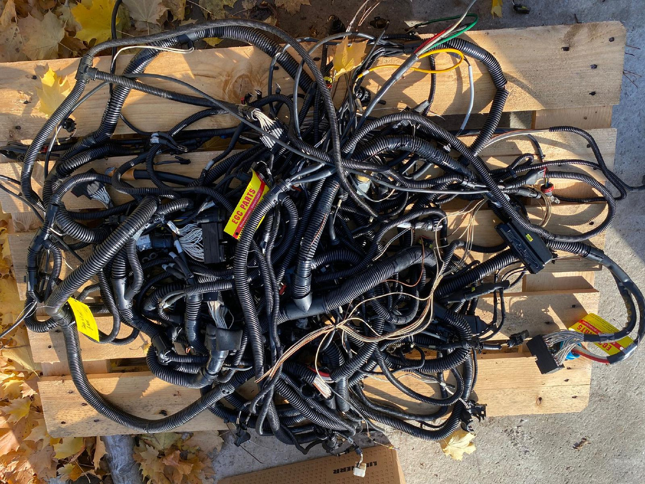 Case WX 165 - Cavi/ Fili per Macchina da cantiere: foto 3 Case WX 165 - Cavi/ Fili per Macchina da cantiere: foto 3