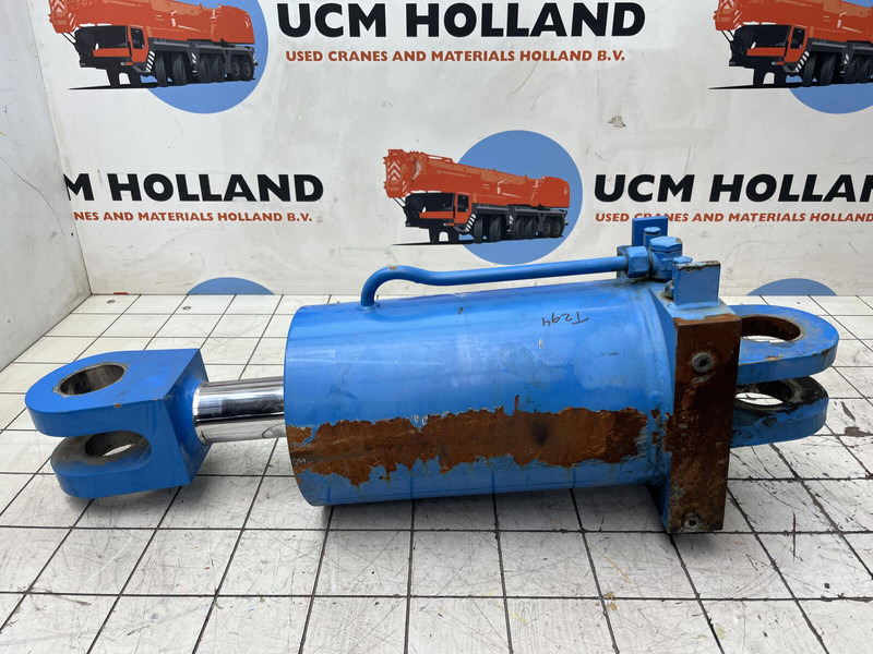 Liebherr LTM 1400-7.1 luffing cylinder TY-frame - Sospensione per Gru: foto 5 Liebherr LTM 1400-7.1 luffing cylinder TY-frame - Sospensione per Gru: foto 5