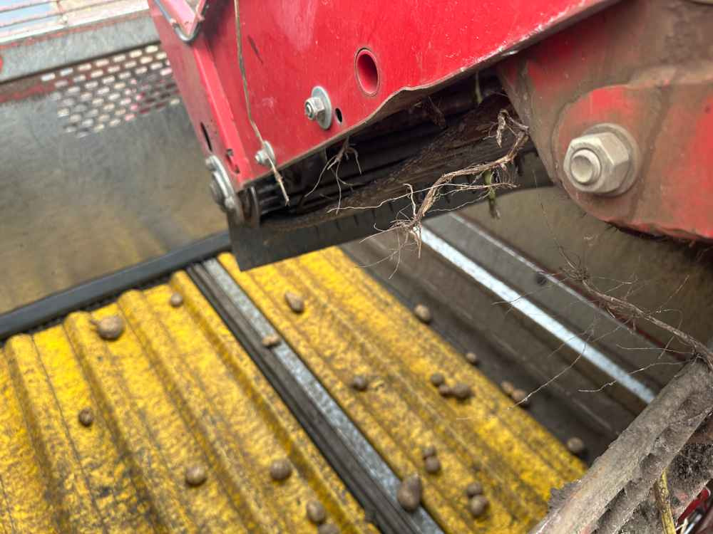 Macchina da raccolta Grimme SE-150-60-NB: foto 6 Macchina da raccolta Grimme SE-150-60-NB: foto 6