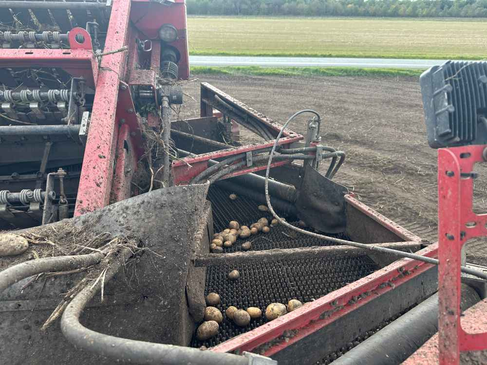 Macchina da raccolta Grimme SE-150-60-NB: foto 7 Macchina da raccolta Grimme SE-150-60-NB: foto 7