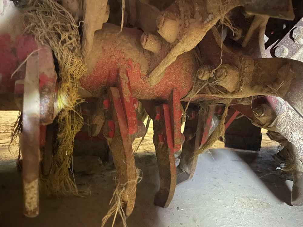 Grimme RT 300 - Macchina da raccolta: foto 3 Grimme RT 300 - Macchina da raccolta: foto 3