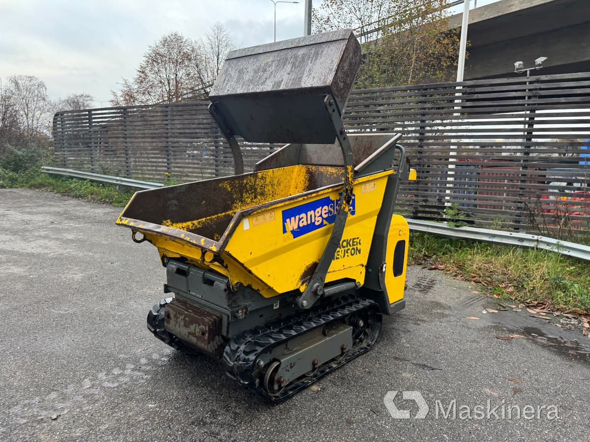 Minidumper Wacker Neuson DT08 D - Dumper cingolato: foto 1 Minidumper Wacker Neuson DT08 D - Dumper cingolato: foto 1