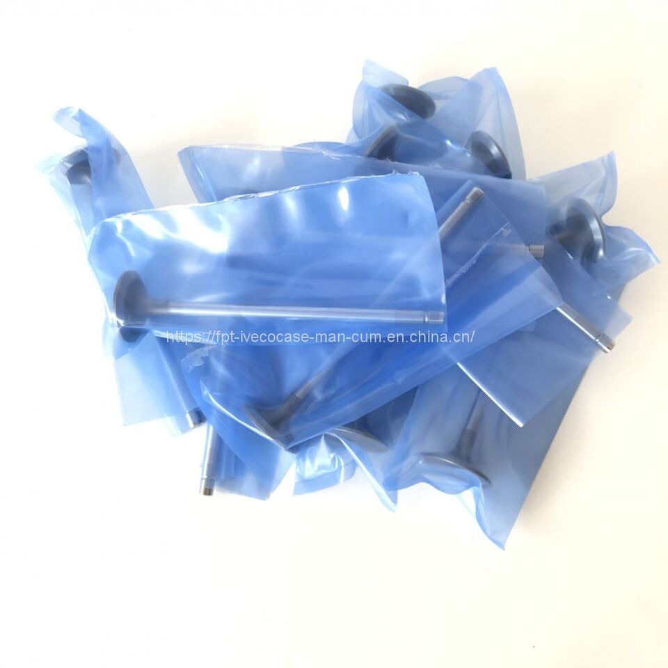 FPT IVECO CASE Cursor9Bus F2CFE612D*J231/F2CFE612A*J098 5802748674 EXHAUST VALVE 5801506352 - Valvola per Autobus: foto 3 FPT IVECO CASE Cursor9Bus F2CFE612D*J231/F2CFE612A*J098 5802748674 EXHAUST VALVE 5801506352 - Valvola per Autobus: foto 3