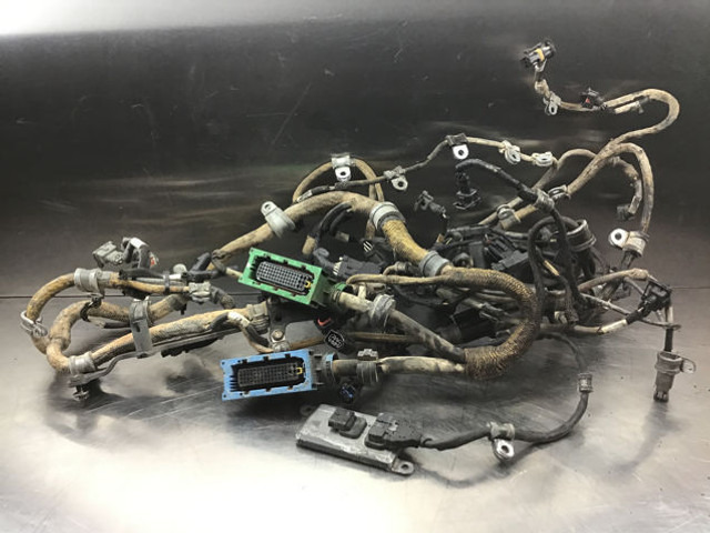 Liebherr Wire Harness - Cavi/ Fili: foto 1 Liebherr Wire Harness - Cavi/ Fili: foto 1