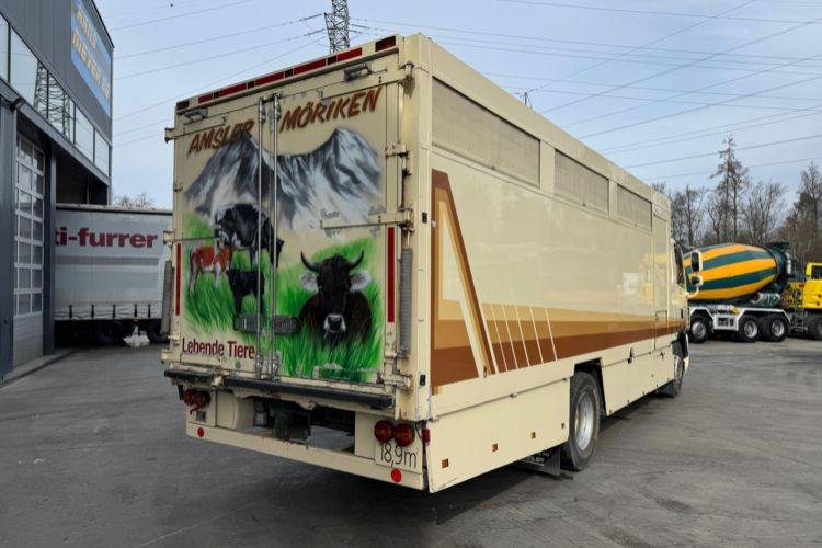 DAF CF410 4x2 - Van trasporto cavalli: foto 5 DAF CF410 4x2 - Van trasporto cavalli: foto 5