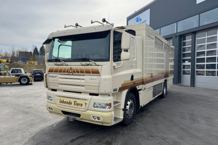 DAF CF410 4x2 - Van trasporto cavalli: foto 1 DAF CF410 4x2 - Van trasporto cavalli: foto 1
