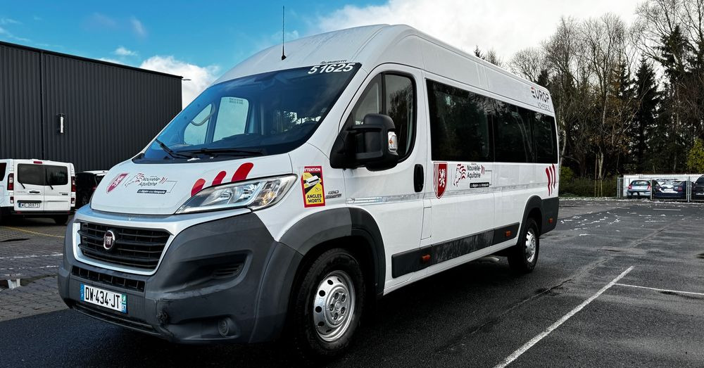 Fiat Ducato / 17 miejsc / EURO 6/ IGŁA !!!/ Cena:75000 zł netto - Minibus, Pulmino: foto 1 Fiat Ducato / 17 miejsc / EURO 6/ IGŁA !!!/ Cena:75000 zł netto - Minibus, Pulmino: foto 1