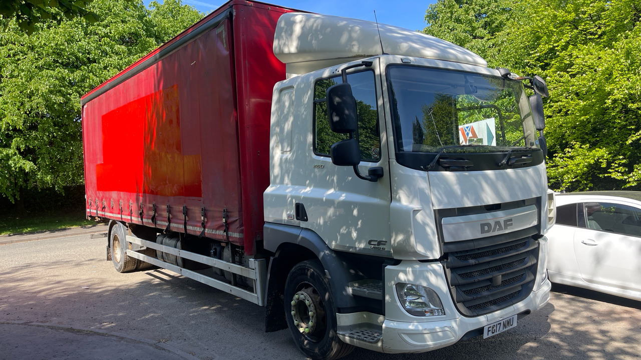 DAF CF 260 - Camion centinato: foto 1 DAF CF 260 - Camion centinato: foto 1